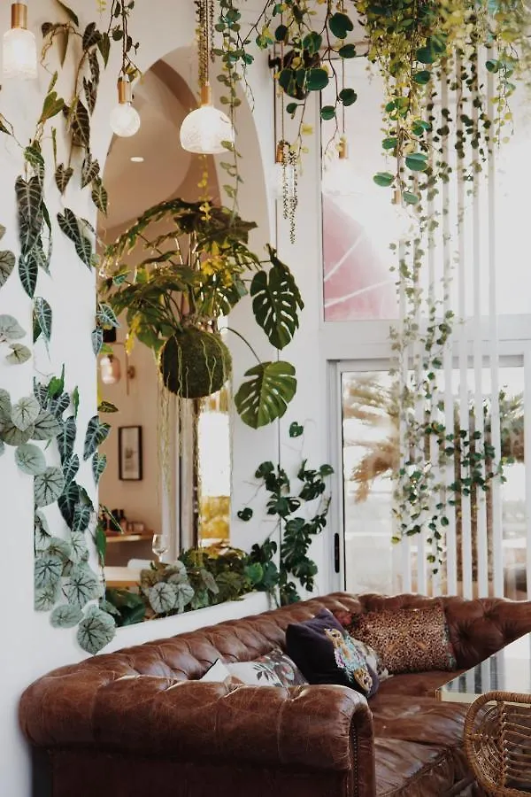 Le Rose The Hotel La Ciotat